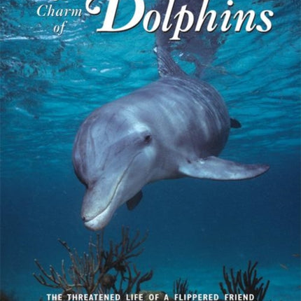 A Charm of Dolphins: The Threatened Life of a Flippered Friend