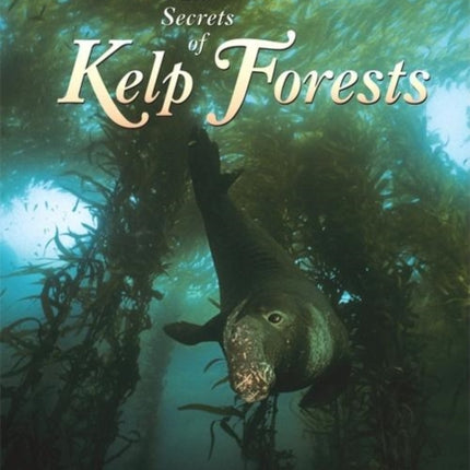 The Secrets of Kelp Forests: Life's Ebb and Flow in the Sea's Richest Habitat