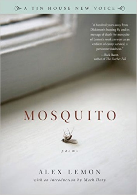 Mosquito