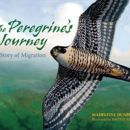 The Peregrine's Journey: A Story of Migration