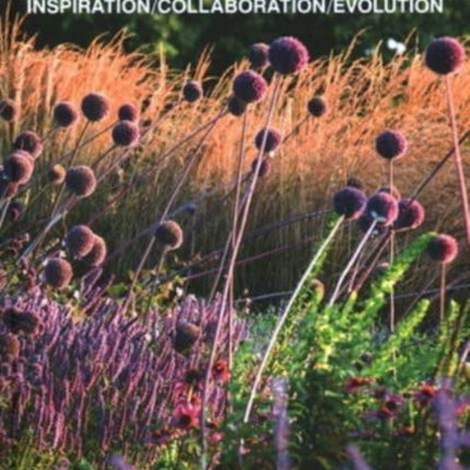 Beyond Bold: Inspiration, Collaboration, Evolution