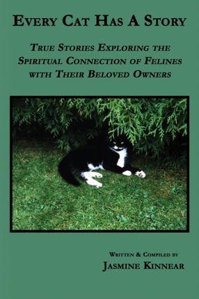 Every Cat Has A Story True Stories Exploring the Spiritual Connection of Felines with Their Beloved Owners