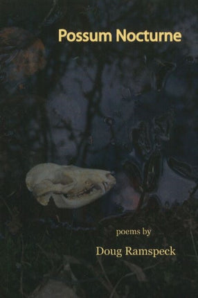 Possum Nocturne