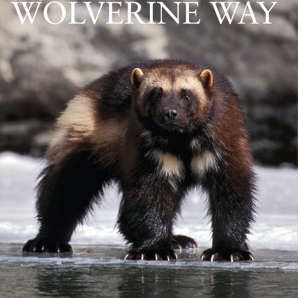 The Wolverine Way