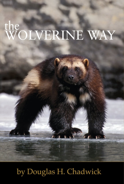 The Wolverine Way