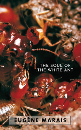 The Soul of the White Ant