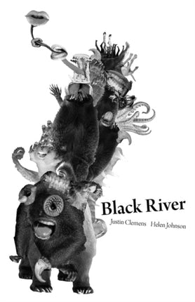 Black River No 2 Anomaly