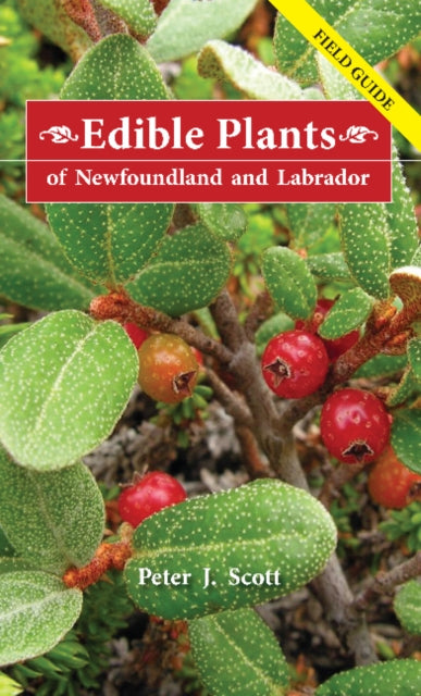 Edible Plants of Newfoundland & Labrador: Field Guide