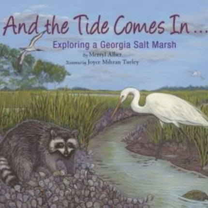 And the Tide Comes In...: Exploring a Georgia Salt Marsh