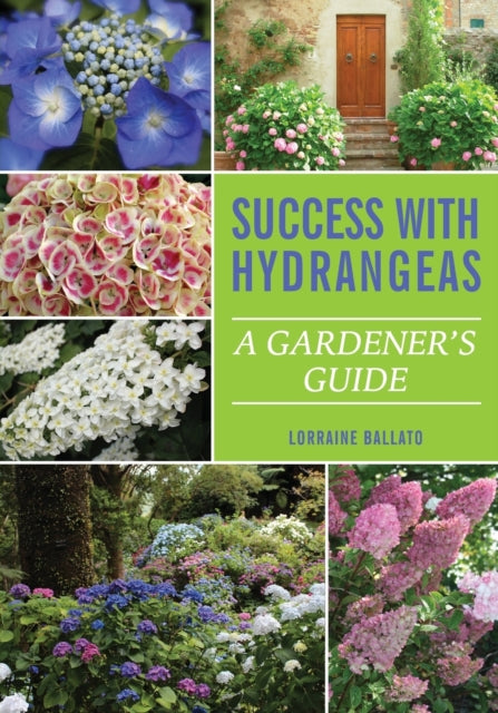 Success With Hydrangeas A Gardeners Guide
