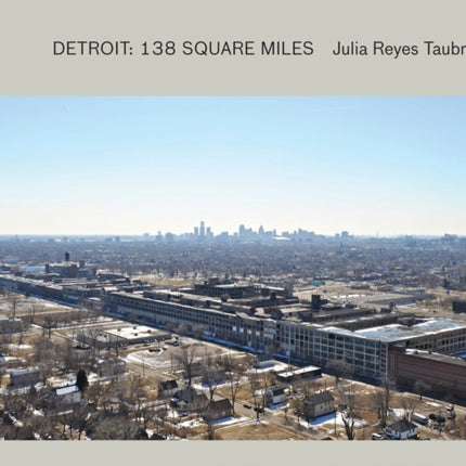 Julie Reyes Taubman  Detroit 138 Square Miles