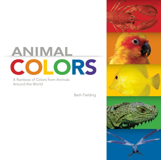 Animal Colors A Rainbow of Colors from Animals
