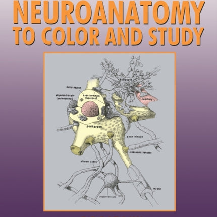 Neuroanatomy to Color and Study