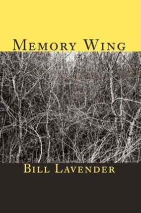 Memory Wing Black Widow Press Modern Poetry