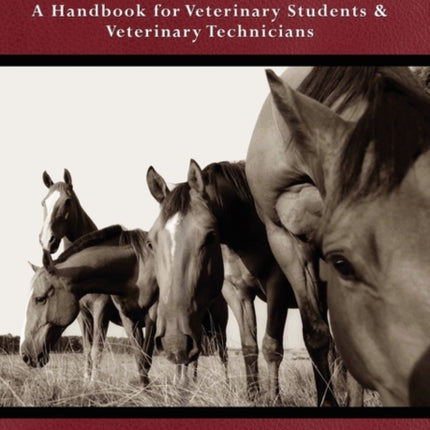 Handling Equine Patients  A Handbook for Veterinary Students  Veterinary Technicians