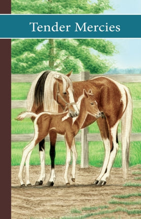 Sonrise Stable Tender Mercies