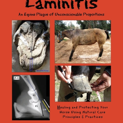 Laminitis An Equine Plague of Unconscionable Proportions Healing and Protecting Your Horse Using Natural Principles  Practices