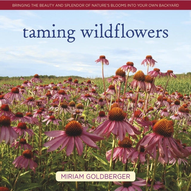 Taming Wildflowers: Bringing the Beauty and Splendor of Nature's Blooms into Your Own Backyard