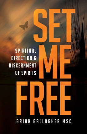 Set Me Free Spiritual Direction  Discernment of Spirits