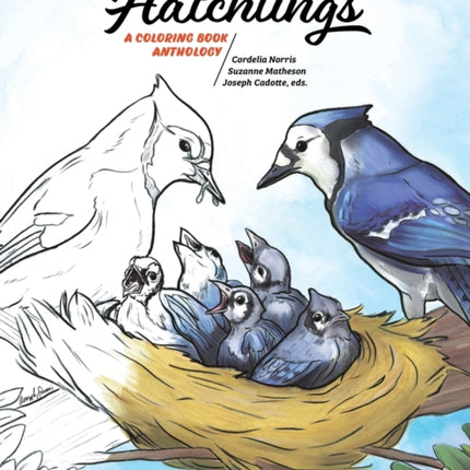 Hatchlings A Coloring Book Anthology 1 Coloring