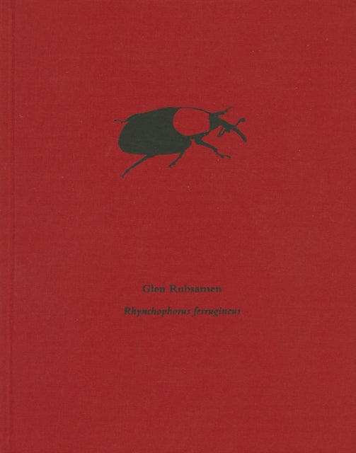 Glen Rubsamen  Rhynchophorus Ferrugineus