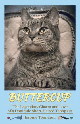 Buttercup The Legendary Charm and Love of a Domestic Shorthaired Tabby Cat