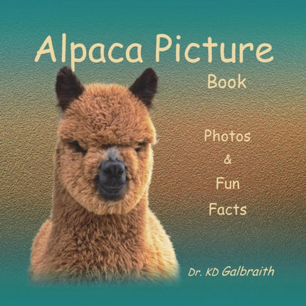 Alpaca Picture Book Photos  Fun Facts
