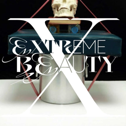 Extreme Beauty  12 Contemporary Korean Artists