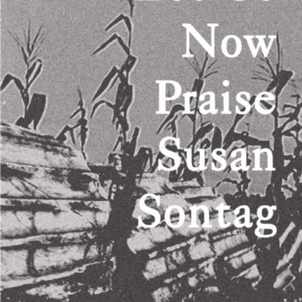 Let Us Now Praise Susan Sontag