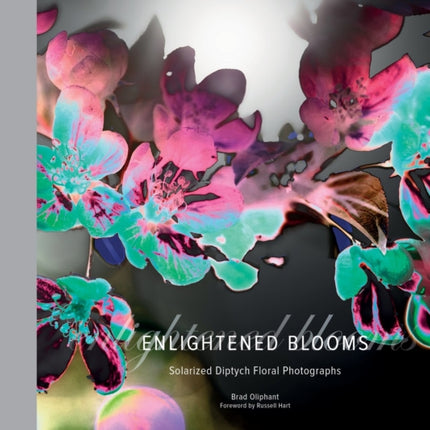 Enlightened Blooms: Solarized Diptych Floral Photographs