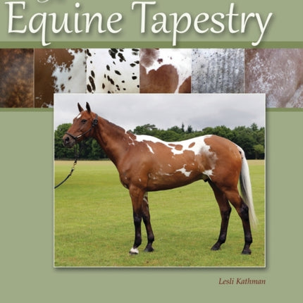 The Equine Tapestry An Introduction to Colors and Patterns
