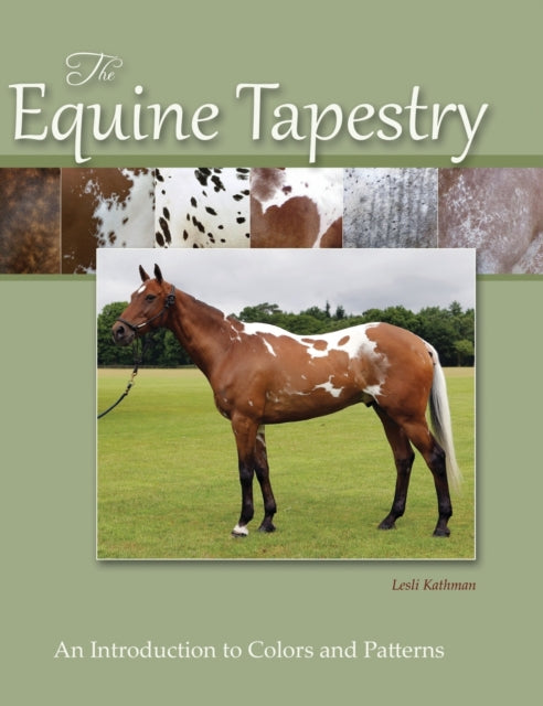 The Equine Tapestry An Introduction to Colors and Patterns