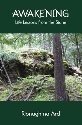 Awakening Life Lessons from the Sidhe