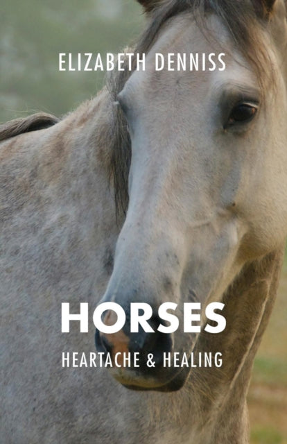Horses Heartache  Healing
