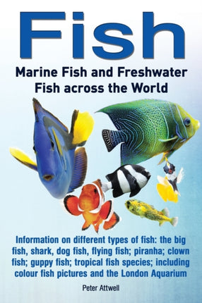 Fish Marine Fish and Freshwater Fish Across the World Information on Different Types of Fish The Big Fish Shark Dog Fis