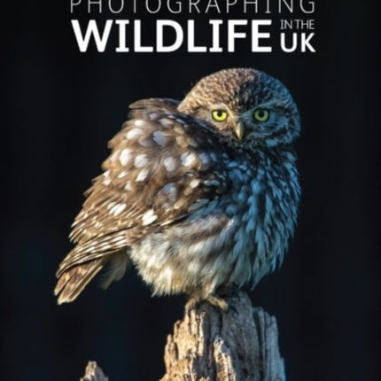 Photographing Wildlife in the UK: Where and How to Take Great Wildlife Photographs