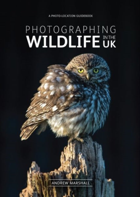 Photographing Wildlife in the UK: Where and How to Take Great Wildlife Photographs