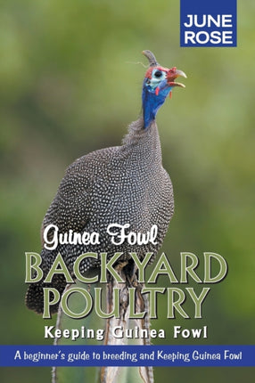 Guinea Fowl Backyard Poultry
