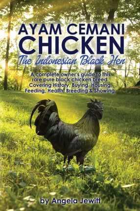 Ayam Cemani Chicken  The Indonesian Black Hen A complete owners guide to this rare pure black chicken breed Covering History Buying Housing Feeding Health Breeding  Showing