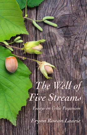 The Well of Five Streams Essays on Celtic Paganism
