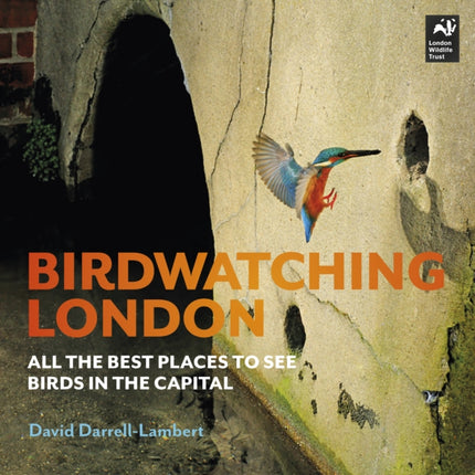 Birdwatching London: The Best Places to See Birds in the Capital