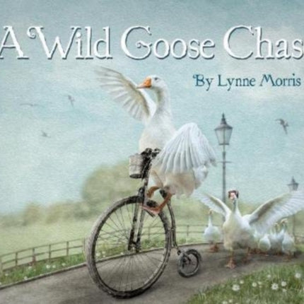 A Wild Goose Chase