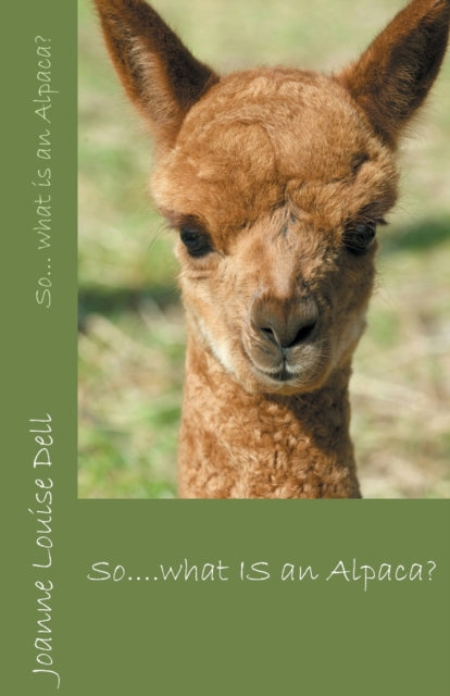 So what IS an Alpaca