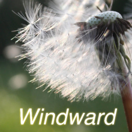 Windward