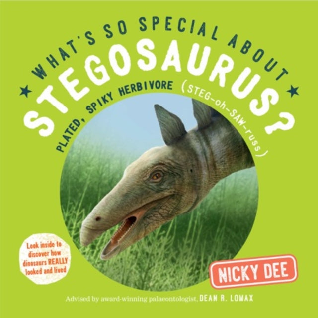 What's So Special About Stegosaurus