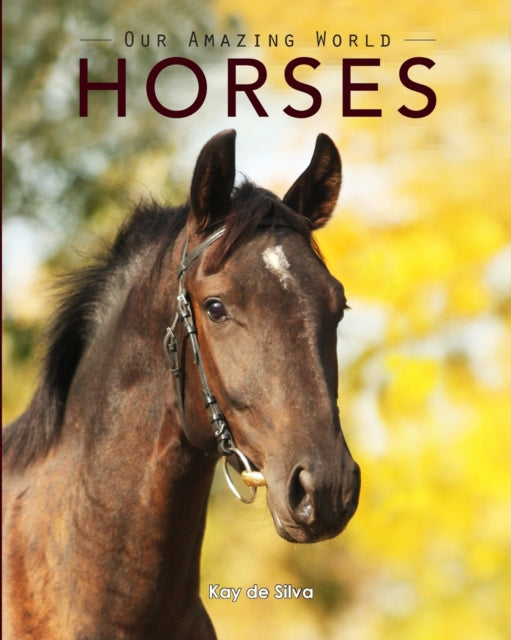 Horses Amazing Pictures  Fun Facts on Animals in Nature
