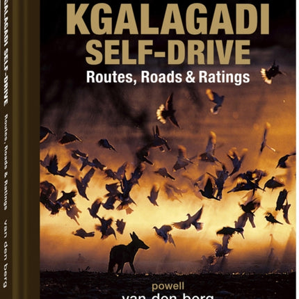 Kgalagadi Self-drive