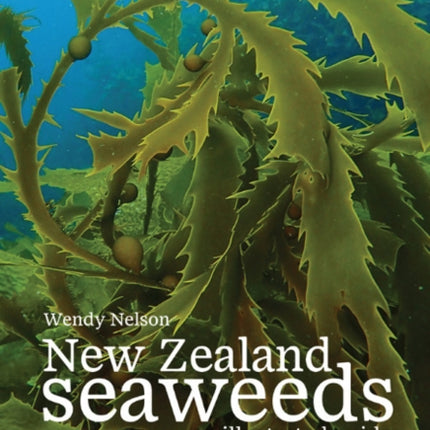 New Zealand Seaweeds: An Illustrated Guide: 2020