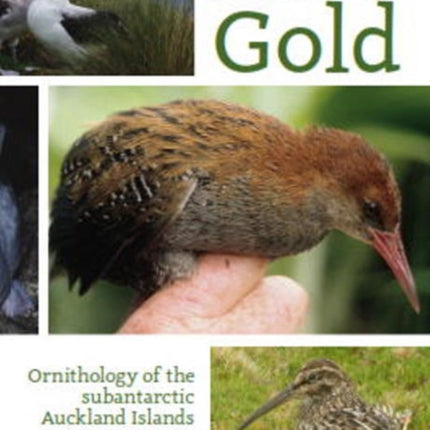 Lost Gold: Ornithology of the subantarctic Auckland Islands