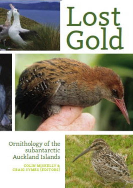 Lost Gold: Ornithology of the subantarctic Auckland Islands